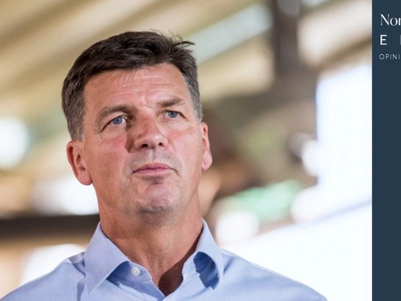 Opinion: Hey Angus, we’re the problem