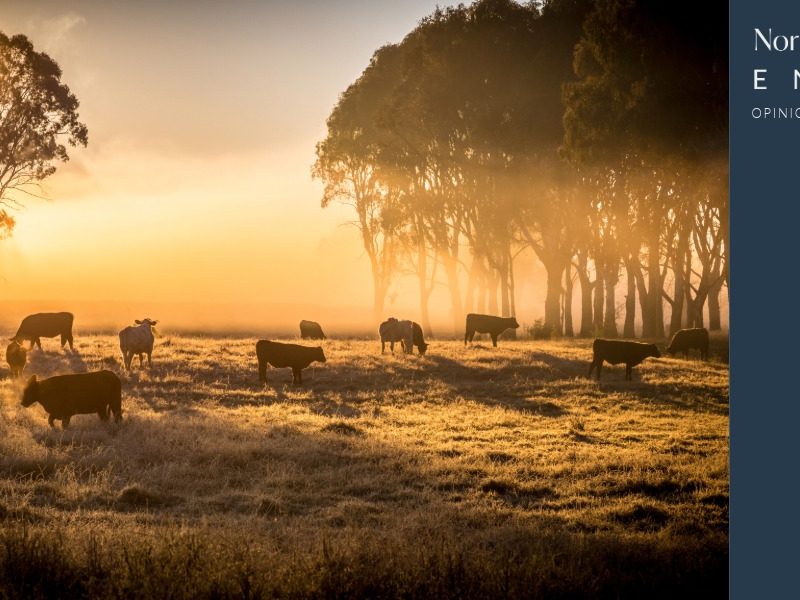 Opinion: Farmers are boosting their profits and production – with nature’s help