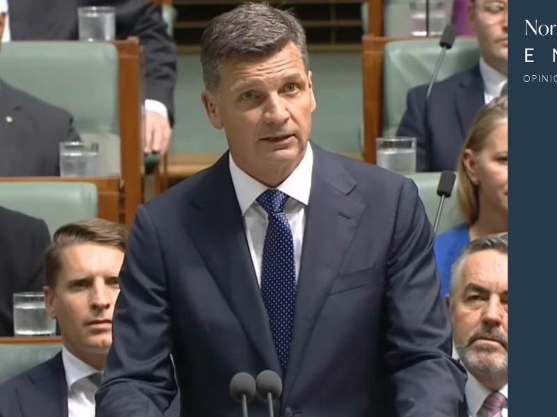 Denise’s Desk: Is Angus Taylor Ignorant, Nasty or Just Clueless?