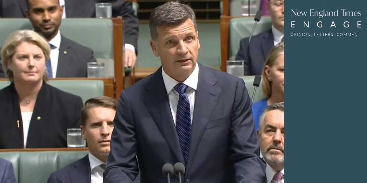 Denise’s Desk: Is Angus Taylor Ignorant, Nasty or Just Clueless?